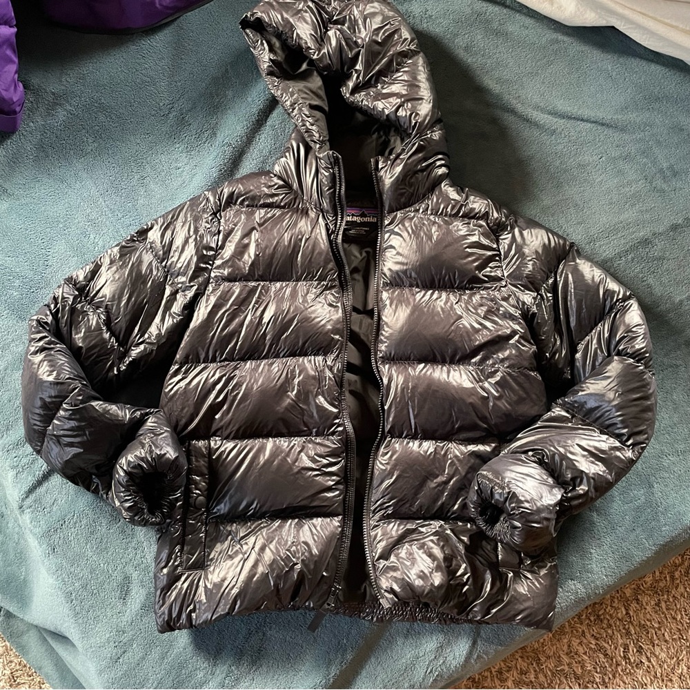 Patagonia Raven Rocks Down Hoody Jacket